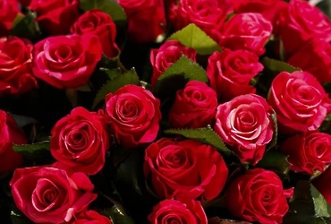 Поздравляем с днем рождения Сухотеплую Наталью Владимировну, главного врача ГБУЗ МО «Психиатрическая больница  №4»