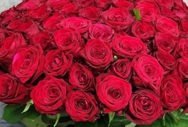 Поздравляем с днем рождения Тимагину Ирину Алексеевну, Директора  МУ «Центр муниципальных закупок»