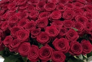 Поздравляем с днем рождения Сергееву Надежду Александровну, главного консультанта главы м.о. Лотошино