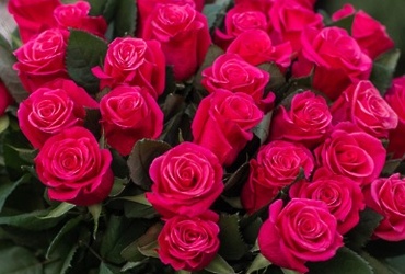 Поздравляем с днем рождения Петрову Ольгу Васильевну, заместителя директора МУ ЦБМУ