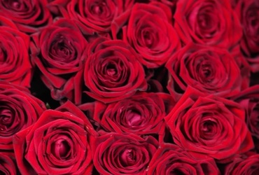 Поздравляем с днем рождения Богданов Анжелу Васильевну, главного эксперта отдела по культуре, делам молодежи, спорту и туризму