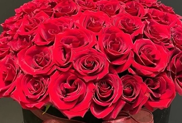 Поздравляем с днем рождения Ярыгину Анастасию Алексеевну, главного эксперта сектора сельского хозяйства и экологии