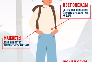 Снег сошел, появились первые проталины, а значит — проснулись клещи!