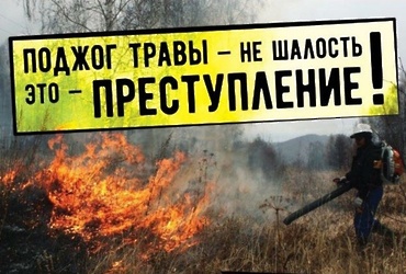 Уважаемые жители и гости муниципального округа Лотошино!