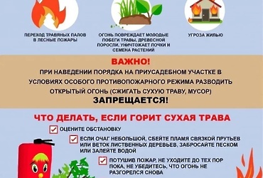 Отдел надзорной деятельности и профилактической работы по муниципальным округам Волоколамский, Лотошино и Шаховская ГУ МЧС России по Московской области призывает жителей быть предельно внимательными и не поджигать сухую траву весной
