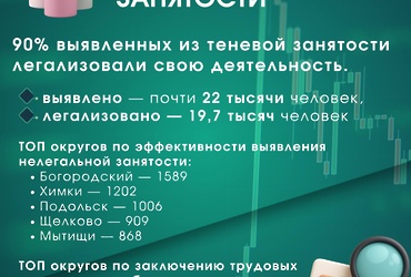 Выявление теневой занятости