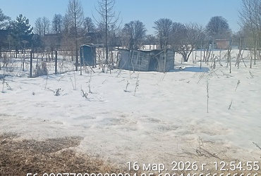 Объявление о бесхозяйной движимой вещи п. Лотошино ул. Центральная