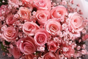 Поздравляем с днем рождения Крылову Наталью Александровну, заведующую МДОУ «Детский сад общеразвивающего вида №1 «Родничок»