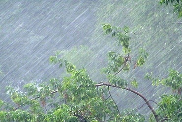 11 июня местами в Московской области ожидается кратковременный дождь