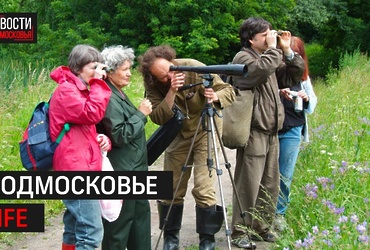 Лотошино на Подмосковье LIFE