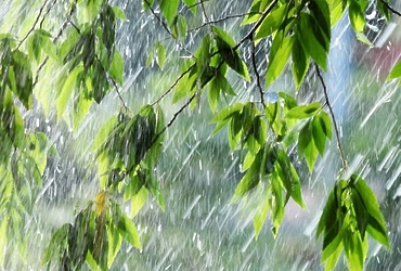 В период с 12 часов с сохранением до 23 часов 1 августа в Московской области ожидается кратковременный дождь, местами ливень, гроза