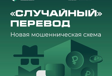 Виртуозный обман мошенников или случайный перевод?
