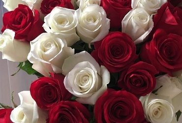 Поздравляем с днем рождения Кандалову Светлану Анатольевну, эксперта территориального отдела Микулино