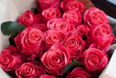 Поздравляем с Днем рождения Цветкову Юлию Александровну, Ведущего бухгалтера МУ ЦБМУ