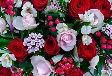 Поздравляем с юбилеем Сафронову Елену Юрьевну, главного бухгалтера МУ «Управление обеспечения деятельности органов местного самоуправления администрации г.о. Лотошино»