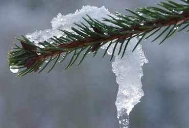 14 октября в Московской области ожидается ухудшение погодных условий