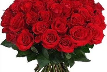 Поздравляем с днем рождения Финяйкину Елену Викторовну, эксперта Территориального отдела Микулино администрации городского округа Лотошино