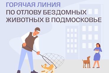  Более 24 000 звонков уже поступило на горячую линию по отлову безнадзорных животных в Подмосковье.