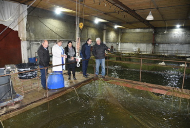 Глава округа, замминистра и руководитель аппарата уполномоченного по защите прав предпринимателей посетили хозяйство «Лотофиш»