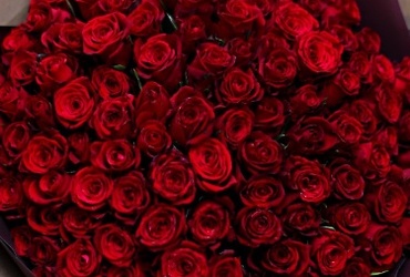 Поздравляем с днем рождения Смирнову Юлию Николаевну, главного эксперта отдела по распоряжению муниципальным имуществом КУИ