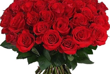 Поздравляем с днем рождения Дорохову Карину Андреевну, главного специалиста отдела по образованию администрации г.о. Лотошино