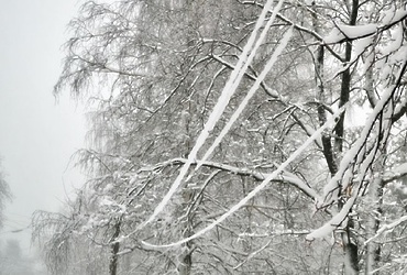 В период с 07 до 21 часов 7 января в Московской области ожидаются гололед, ледяной дождь, налипание мокрого снега