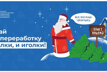 С 15 января в Подмосковье можно сдать на переработку и елки, и иголки!