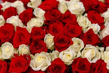 Поздравляем с днем рождения Сухотеплую Наталью Владимировну, главного врача ГБУЗ МО «Психиатрическая больница  №4»