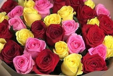 Поздравляем с днем рождения Цветкову Анастасию Сергеевну, директора МУ «Банно‑оздоровительный комплекс»