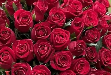 Поздравляем с днем рождения Расскосову Елену Николаевну, члена Общественной Палаты муниципального округа Лотошино