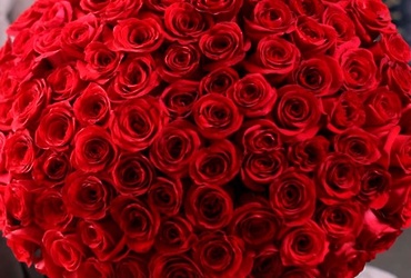 Поздравляем с днем рождения Буйную Екатерину Владимировну, главного инспектора отдела по образованию администрации м.о. Лотошино