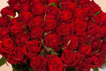 Поздравляем с днем рождения Тимагину Ирину Алексеевну, директора МУ «Центр муниципальных закупок»