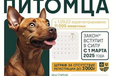 Регистрируем питомца