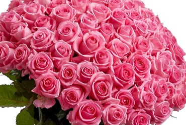 Поздравляем с днем рождения Петрову Ольгу Васильевну, заместителя директора МУ «ЦБМУ м.о. Лотошино»