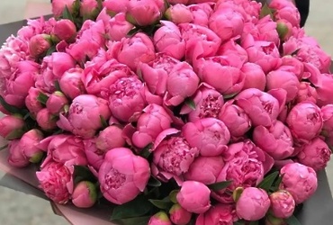 Поздравляем с днем рождения Сергееву Надежду Александровну, главного консультанта администрации м.о. Лотошино