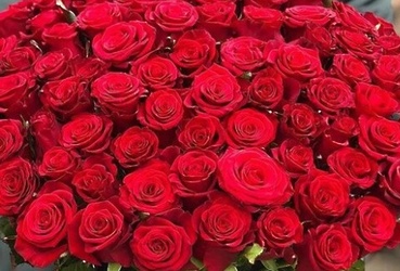 Поздравляем с днем рождения Титомер Наталью Андреевну, члена общественной Палаты м.о. Лотошино