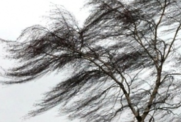 По Московской области ожидается усиление юго‑западного, западного ветра