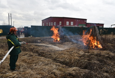 В Лотошино прошли командно‑штабные учения по тушению лесных пожаров