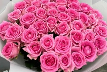 Поздравляем с днем рождения Виджюнас Ксению Александровну, ведущего бухгалтера МУ «ЦБМУ м.о. Лотошино»