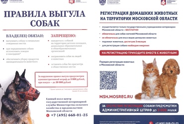 Государственная ветеринарная служба информирует
