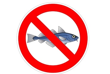 О запрете рыбной ловли в период весеннего нереста рыб