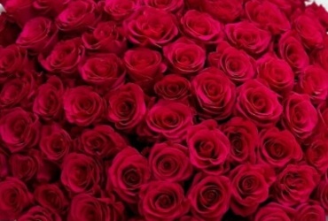 Поздравляем с днем рождения Ильменёву Ларису Сергеевну, главного эксперта отдела земельных отношений КУИ