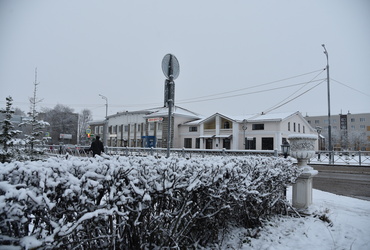 В Московской области ожидаются осадки, в отдельных районах налипание мокрого снега на проводах и деревьях