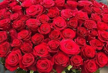 Поздравляем с днем рождения Жарову Оксану Владимировну, эксперта территориального отдела Ошейкино администрации  м.о. Лотошино