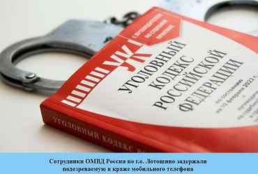 Сотрудники ОМВД России по г.о. Лотошино задержали подозреваемую в  краже мобильного телефона