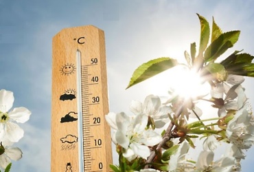 В период с 23 по 24 апреля по территории Московской области сохраняется аномально‑жаркая погода