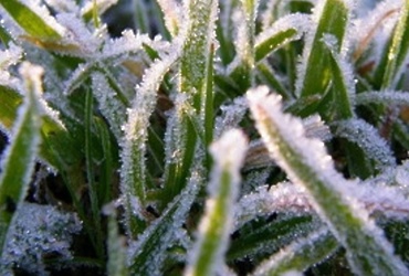 В период с 10 по 11 мая в ночные и утренние часы на территории Московской области ожидаются заморозки -5…0°С