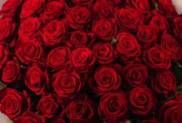 Поздравляем с днем рождения Тарасову Ирину Валерьевну, бухгалтера МУ «ЦБМУ»