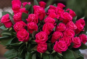 Поздравляем с юбилеем Яркову Любовь Вячеславовну, ведущего бухгалтера МУ «ЦБМУ м.о. Лотошино»