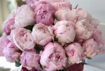 Поздравляем с юбилеем Кошечкину Любовь Владимировну, бывшего начальника Пенсионного фонда